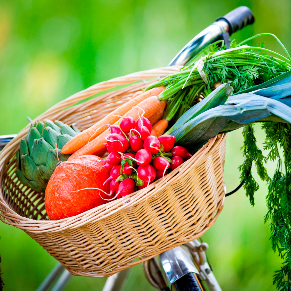 DASH diet