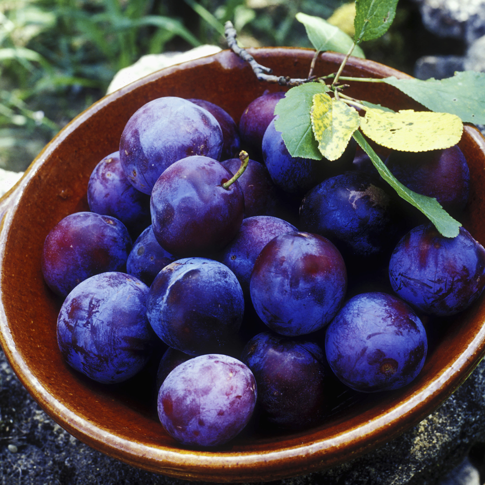 Detox Foods