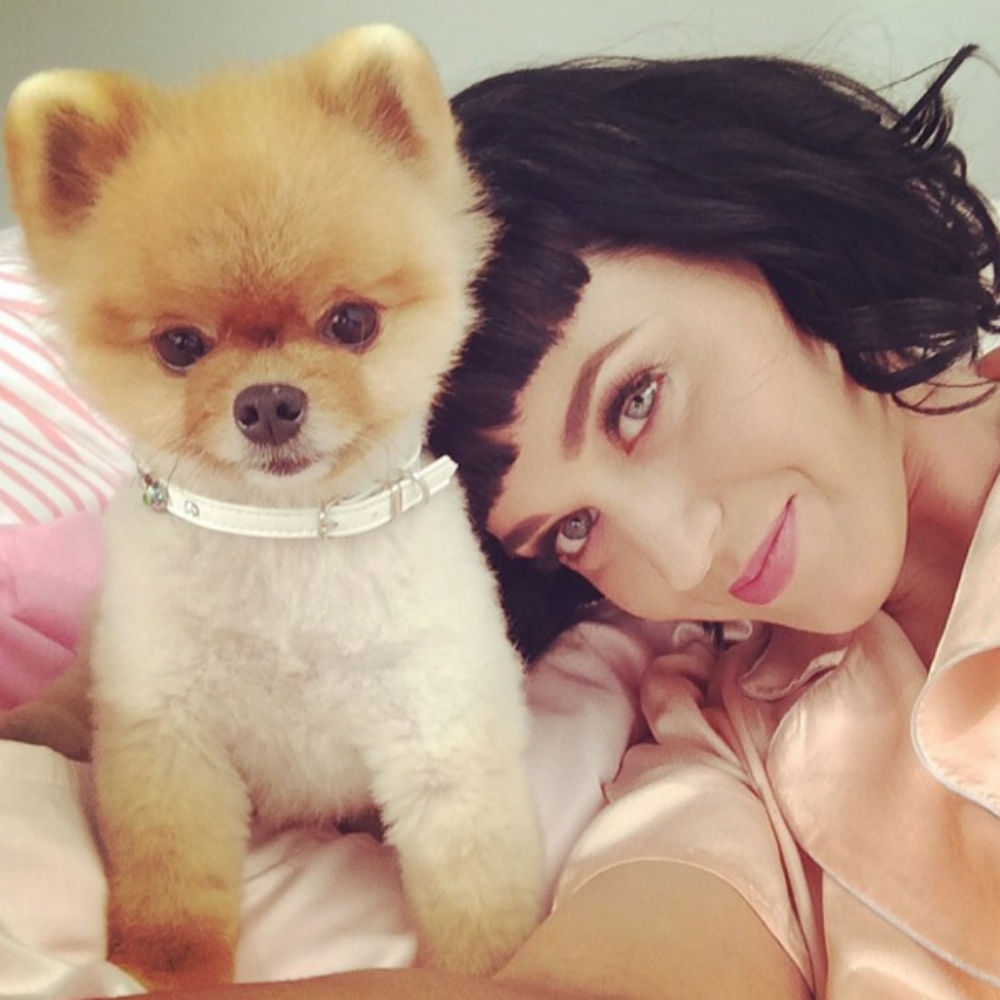 Katy Perry has a new bob haircut and fringe.