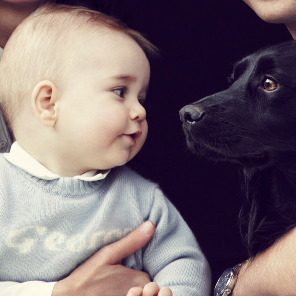 Prince George In Pictures