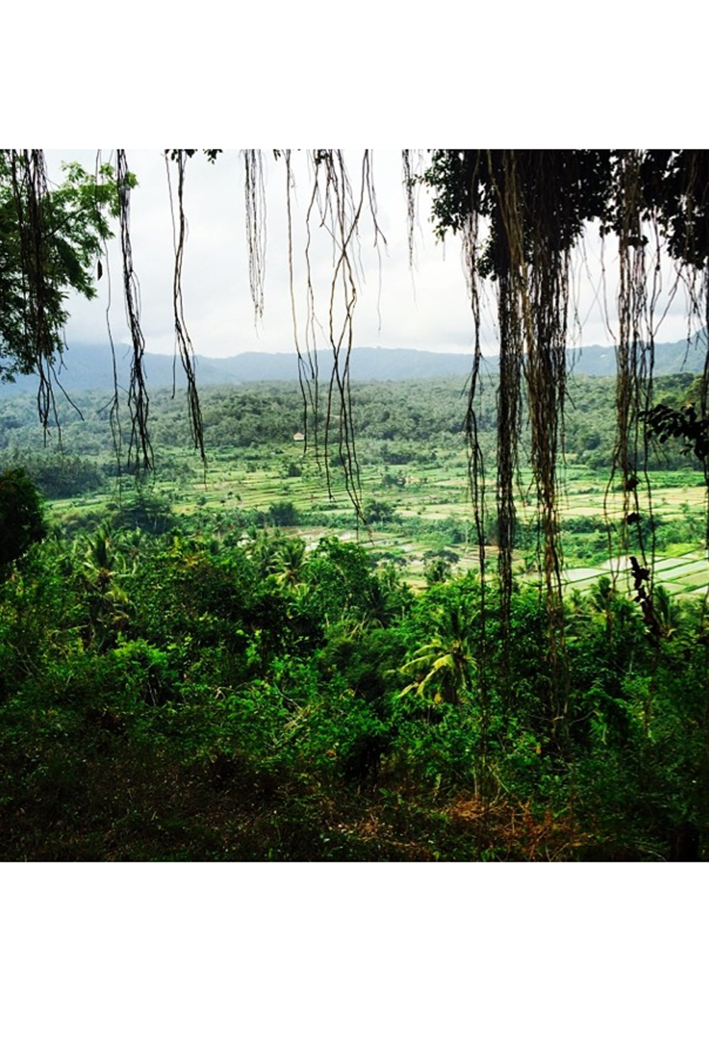 Cara Delevingne Bali Trip Cara Delevingne Bali Trip