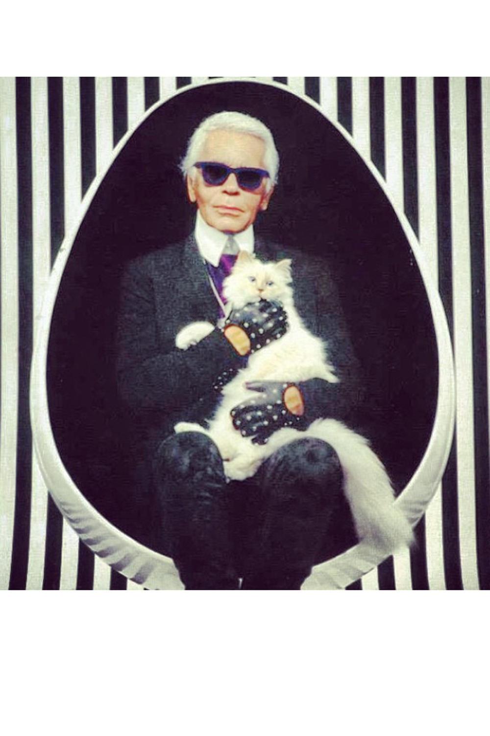 Karl Lagerfeld Choupette Karl Lagerfeld Choupette