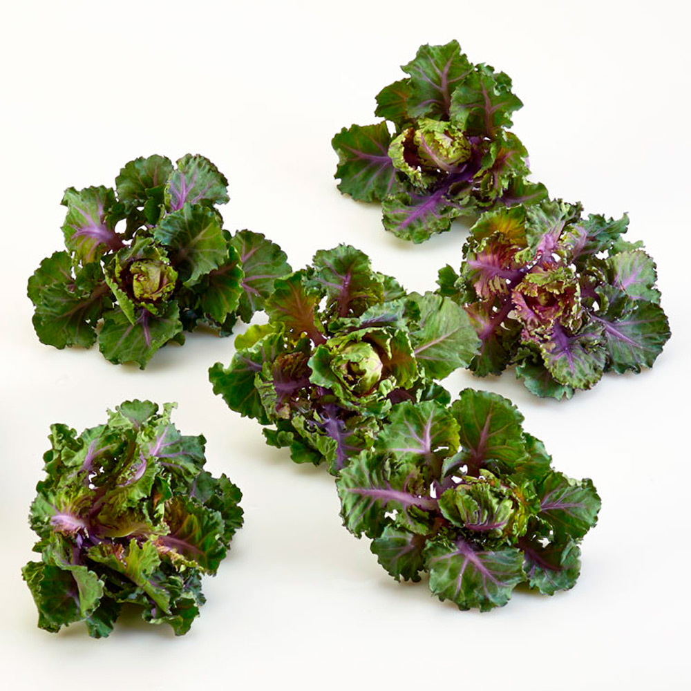 Kalettes