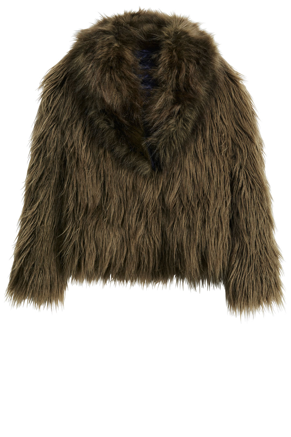 H&M Faux Fur Jacket H&M Faux Fur Jacket