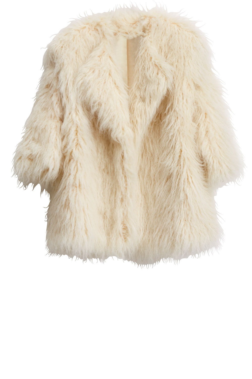H&M Teddy Jacket H&M Teddy Jacket