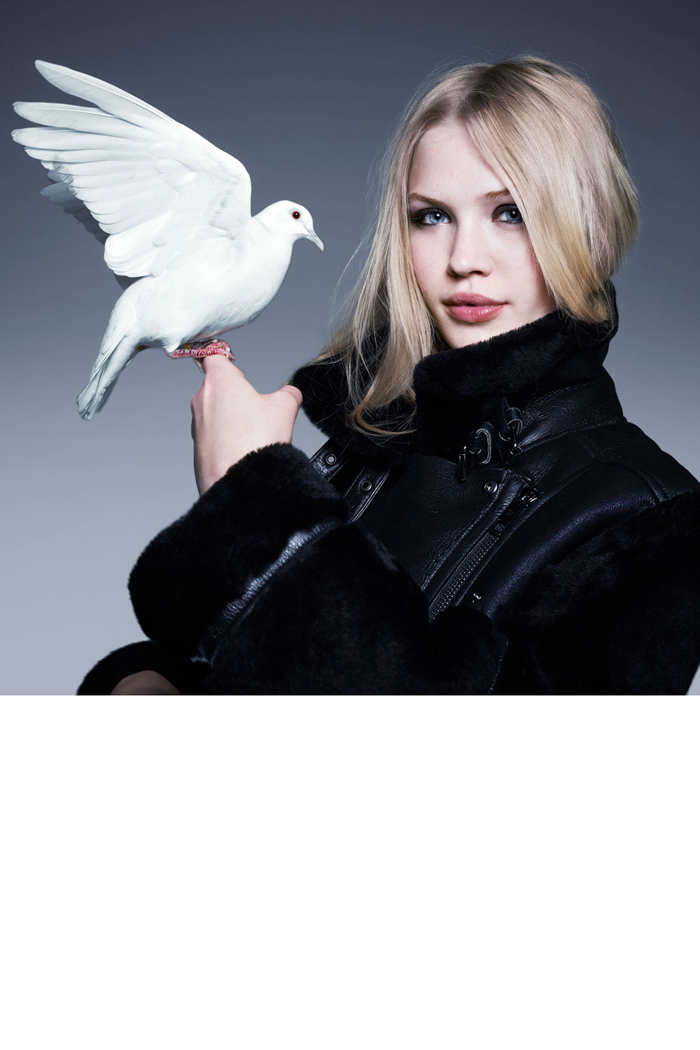 French Connection AW14 French Connection AW14