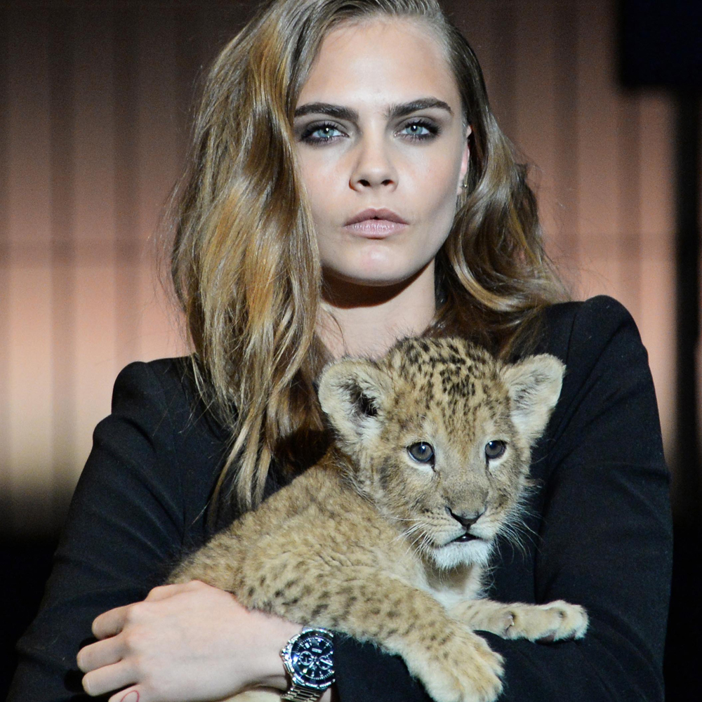 Cara Delevingne Models Live With An Actual Lion