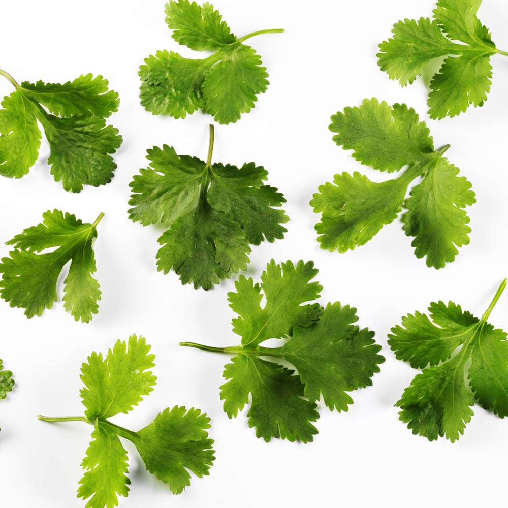 6 things you only know if you can't stand coriander 